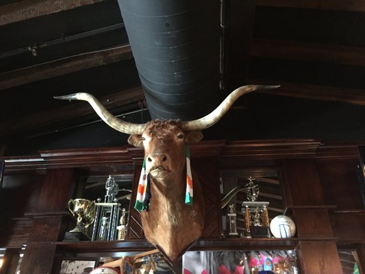 Napper Tandy's Irish Pub by null