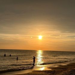 Anna Maria Island Beach