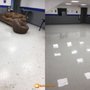 Photo of CareClean Building Services