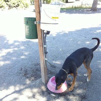 Brentwood Park - Dog Parks Near Me - Portland, Oregon Brentwood Park - Dog Parks Near Me - Portland, Oregon