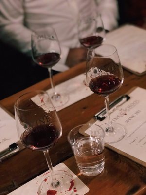 Wine School of Philadelphia by null