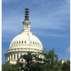 William Mackay Roofing - Proudly serving our nation's capital for over 50 years!