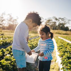 G Ranch/31 Produce