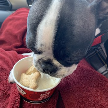 Bruster's Real Ice Cream - He loves it. - Ice Cream & Frozen Yogurt Near Me - Gaithersburg, Maryland