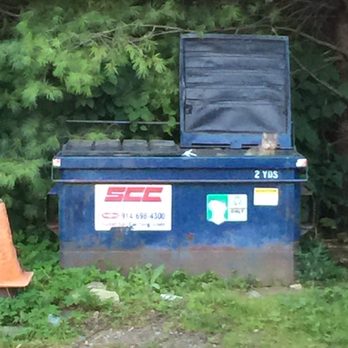 Gappy's Pizza - Gappy's Dumpster Fat Cat!! - Italian Near Me - Carmel, New York Gappy's Pizza - Gappy's Dumpster Fat Cat!! - Italian Near Me - Carmel, New York