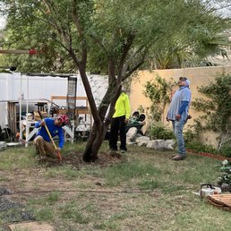 They are inspecting the tree and checking where the water sprinkler pipes are, to avoid hitting them. They are inspecting the tree and checking where the water sprinkler pipes are, to avoid hitting them.