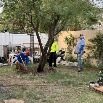 Alex's Tree Services - They are inspecting the tree and checking where the water sprinkler pipes are, to avoid hitting them. - Tree Services Near Me Alex's Tree Services - They are inspecting the tree and checking where the water sprinkler pipes are, to avoid hitting them. - Tree Services Near Me