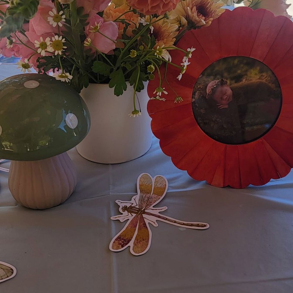 Native Poppy - Florists Near Me - San Diego, California Native Poppy - Florists Near Me - San Diego, California