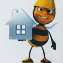 Busy Bee Handyman Services
