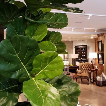 Field + Fort - Furniture Stores Near Me - Summerland, California