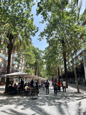 Rambla del Poblenou by null