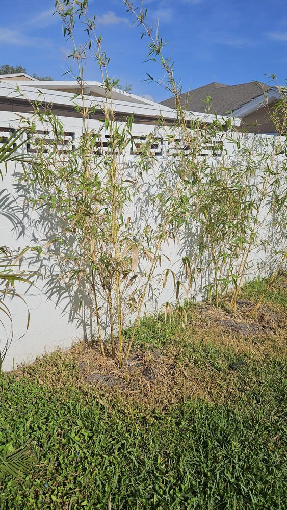 BEST VALUE PLANT NURSERY Updated September 2024 11 Reviews 2807 N