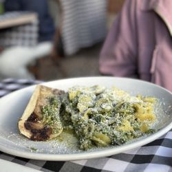 user provided Barbusa photo