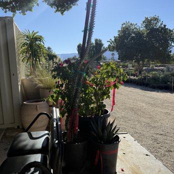 Madison Gardens - Nurseries & Gardening Near Me - Indio, California