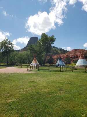 Devils Tower National Monument by null