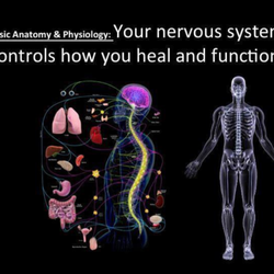 Stoetzel's Planet Chiropractic