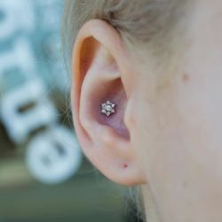 Enigma Professional Piercing Studio