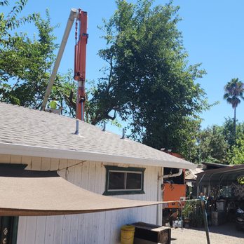 John N Eddie's Tree Care - Tree Services Near Me