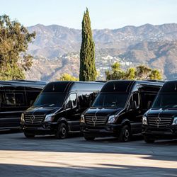 Executive LA Limousine Service - Executive LA Fleet