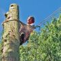 Photo of Lakewood Tree Surgeons