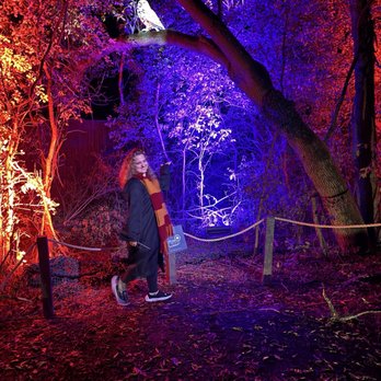 HARRY POTTER A FORBIDDEN FOREST EXPERIENCE CHICAGO - Updated December