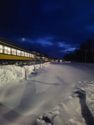 Alaska Railroad by null