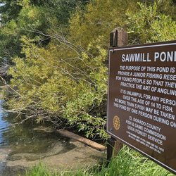 Sawmill Pond