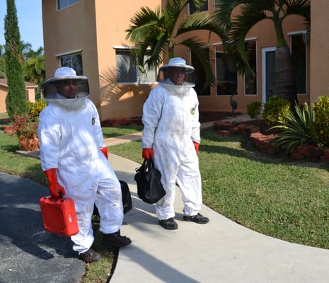 Termites,Rodents,Pests...etc - WELCOME To Pest Doctor, A Miami based full service pest control Company Servicing South Florida
Pest Doctor services include General House hold pest control, Lawn and Ornamental Pest Control, With Fertilization to give you a rich green pest free landscape. Our Termite Division will get rid of any termite problem, offing tenting or tent less spot treatment as well as subterranean termites services. We also offer written termite inspection for a home loans or any other purpose. Adding square footage to your home county inspectors will require a pre-soil termite treatment. Pest Doctor will give you all the right service and documents to pass inspection.
We are not just the best at getting rid of roaches, rat, spiders, and all other insects and rodents. We are your full service specialize pest control company that stop all creatures from invading your domain, with our professional team of trained and certified pest control specialists. We are certified by the State of Florida - Department of Agriculture and Consumer Services and the Bureau of Entomology and Pest Control. Pest Doctor is also an active member of the Certified Pest Control Operators Association of Florida (CPCO). Termites,Rodents,Pests...etc - WELCOME To Pest Doctor, A Miami based full service pest control Company Servicing South Florida
Pest Doctor services include General House hold pest control, Lawn and Ornamental Pest Control, With Fertilization to give you a rich green pest free landscape. Our Termite Division will get rid of any termite problem, offing tenting or tent less spot treatment as well as subterranean termites services. We also offer written termite inspection for a home loans or any other purpose. Adding square footage to your home county inspectors will require a pre-soil termite treatment. Pest Doctor will give you all the right service and documents to pass inspection.
We are not just the best at getting rid of roaches, rat, spiders, and all other insects and rodents. We are your full service specialize pest control company that stop all creatures from invading your domain, with our professional team of trained and certified pest control specialists. We are certified by the State of Florida - Department of Agriculture and Consumer Services and the Bureau of Entomology and Pest Control. Pest Doctor is also an active member of the Certified Pest Control Operators Association of Florida (CPCO).