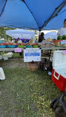 Tallahassee Farmers' Market by null
