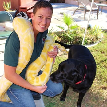 Cool Critters - Molly was very interested in the ginormous snake! She also loved to follow Chris around during the presentation! - Sewing & Alterations Near Me Cool Critters - Molly was very interested in the ginormous snake! She also loved to follow Chris around during the presentation! - Sewing & Alterations Near Me