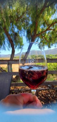 Hitching Post Wines by null