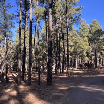 Bearizona - No animals, that's for sure! - Zoos Near Me - Williams, Arizona