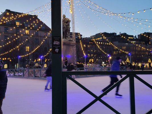 Kungsträdgården by null