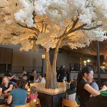 Kenji's - Beautiful "tree" added to restaurant to give it that garden look. Sweet waitress also shown. - Ramen Near Me - Vancouver, Washington Kenji's - Beautiful "tree" added to restaurant to give it that garden look. Sweet waitress also shown. - Ramen Near Me - Vancouver, Washington