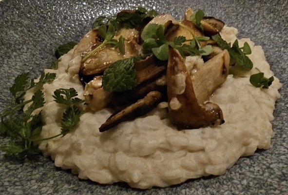 Tangará Jean-Georges by null