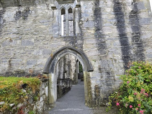 Muckross Abbey by null