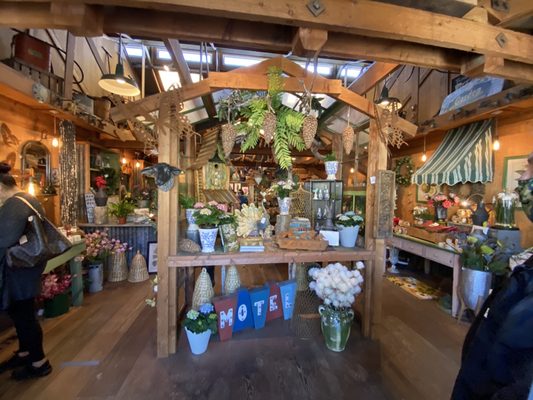 THE GARDEN SHED - 63 Photos & 42 Reviews - Nurseries & Gardening - 2024