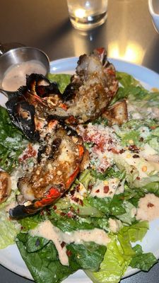 Koya by null Koya by null