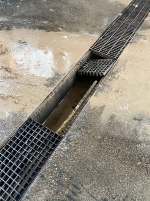 Foster Day Smog Center