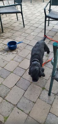 Mahoney's Bar & Grill by null