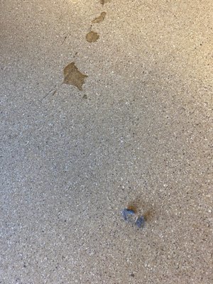 Banner Estrella Medical Center by null