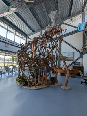 North Carolina Estuarium by null