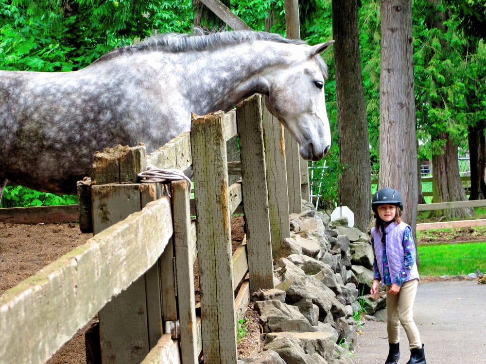 HUNTER’S RUN EQUESTRIAN CENTER Updated September 2024 12 Photos