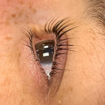 Lash Envy - Lash lift - Eyelash Service Near Me - Port Charlotte, Florida