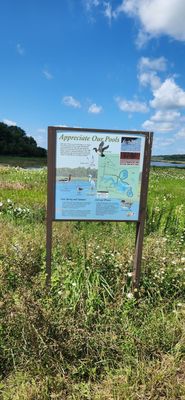Bombay Hook National Wildlife Refuge by null