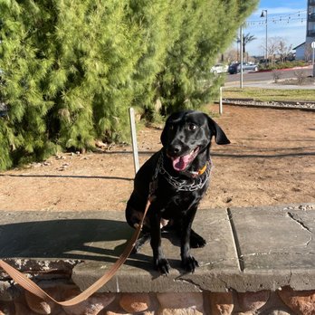 Joe's Farm Grill - Dog friendly - American Near Me - Gilbert, Arizona