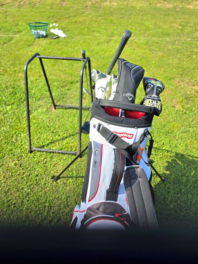 Dave's Shag Bag Logo