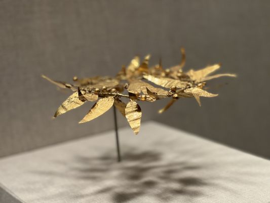 San Antonio Museum of Art by null