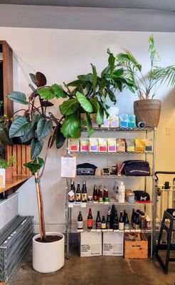 Moonshot Coffee by null