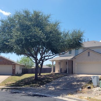 7 Tree Services - After - Tree Services Near Me 7 Tree Services - After - Tree Services Near Me